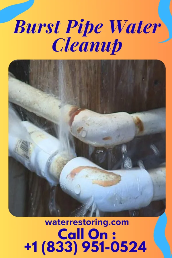 Burst Pipe Water Cleanup in Bellows Falls, VT