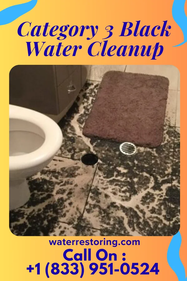 Category 3 Black Water Cleanup in Bellows Falls, VT