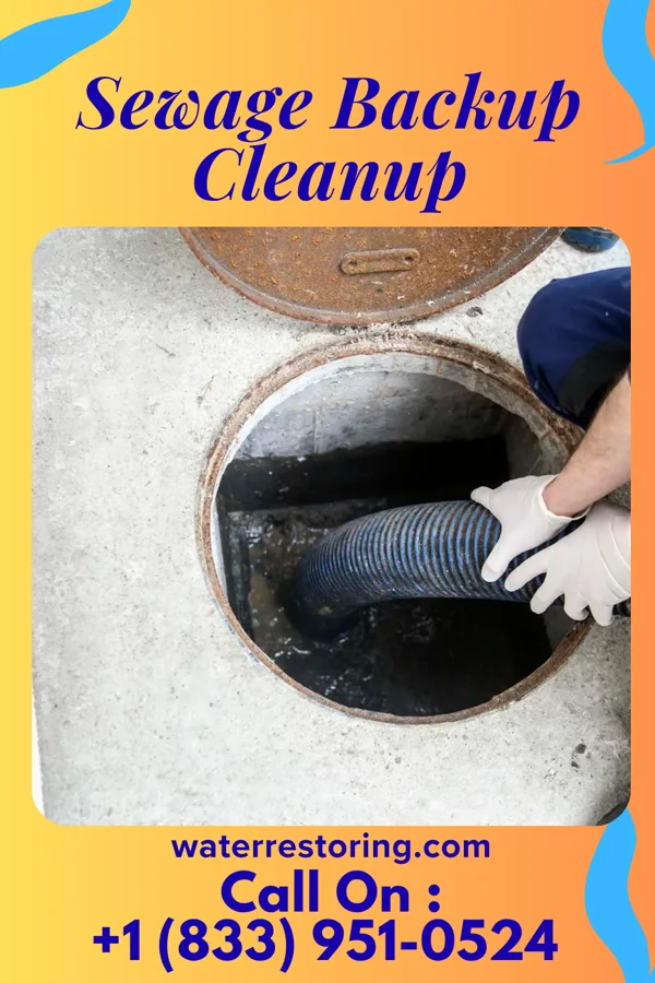 Sewage Backup Cleanup in Bellows Falls, VT